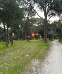 Amanecer en el monte del Pilar. Eduardo