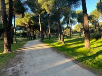 Monte del Pilar. Eduardo